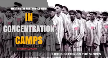 The Red Triangle Symbol: Uncovering Its Meaning in Concentration Camps