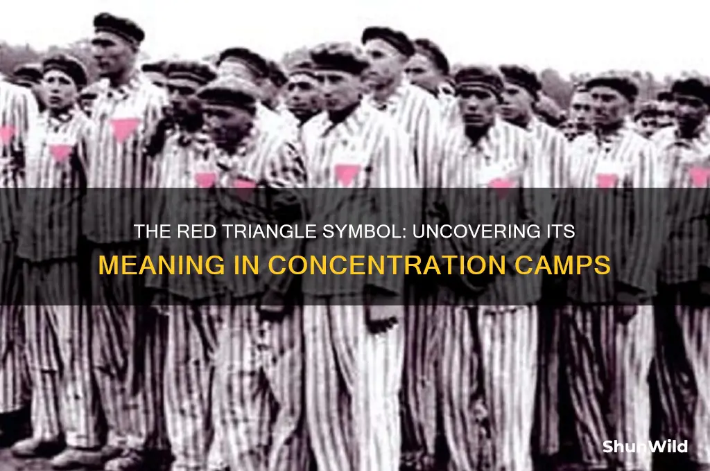 what did the red triangle mean in concentration camps