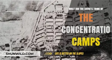 Soviet Perspectives on Nazi Concentration Camps: Reactions and Revelations