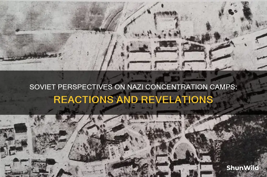 what did the soviets think of the concentration camps
