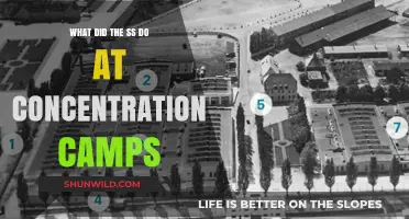 SS Atrocities: Roles and Brutality in Concentration Camps Explained