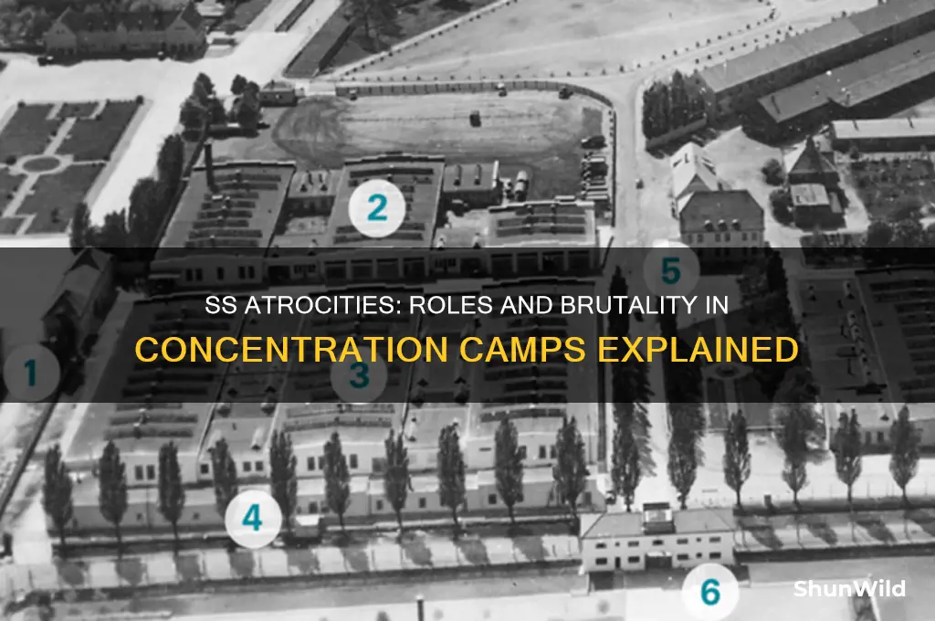 what did the ss do at concentration camps
