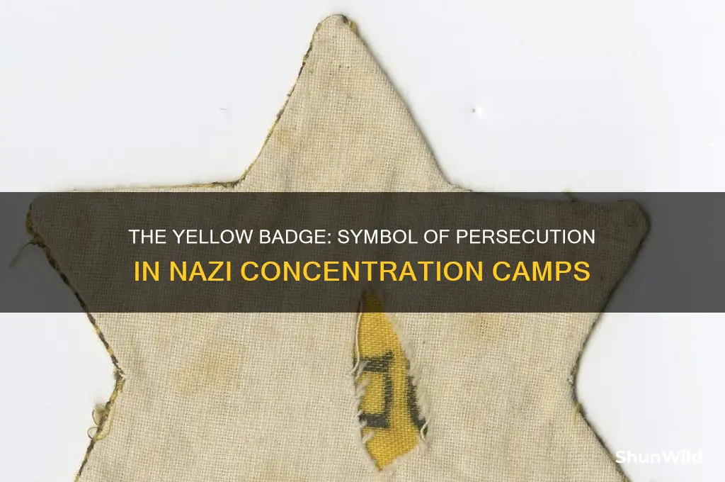 what did the yellow badge in concentration camps mean