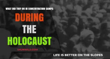 Life and Death in Concentration Camps: Holocaust Horrors Revealed