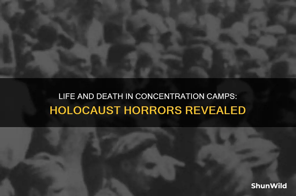 what did they do in concentration camps during the holocaust