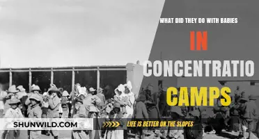 The Forgotten Innocents: Babies' Fate in Concentration Camps