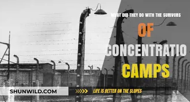 Liberation's Aftermath: The Fate of Concentration Camp Survivors