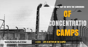 Liberation's Aftermath: The Fate of Concentration Camp Survivors