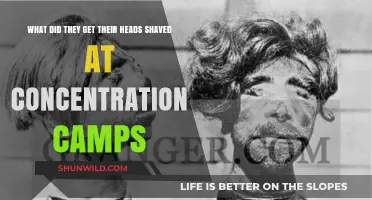 Why Were Heads Shaved in Concentration Camps? A Historical Insight