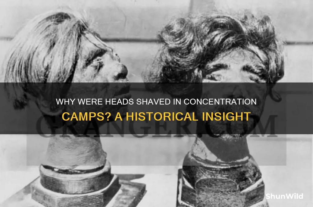 what did they get their heads shaved at concentration camps
