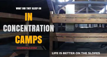 Sleeping Conditions in Concentration Camps: A Look at the Harsh Realities