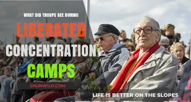 Liberation's Witness: Troops' Harrowing Encounters in Concentration Camps