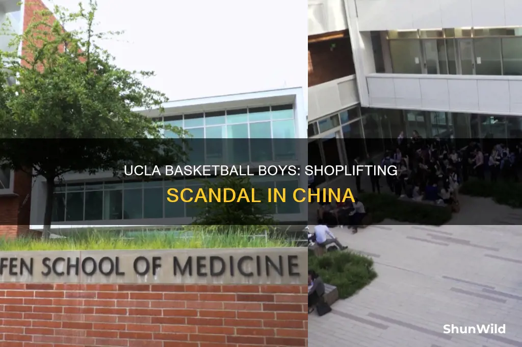 what did ucla basketball boys steal