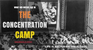 Wiesel's Witness: Horrors and Humanity in the Concentration Camp