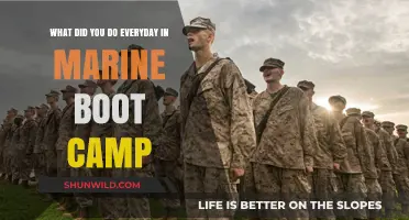 Daily Life in Marine Boot Camp: Rigor, Routine, and Resilience