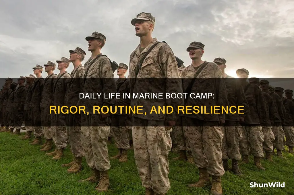 what did you do everyday in marine boot camp
