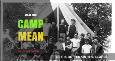 Unpacking the Meaning of Camp: Origins, Evolution, and Cultural Impact