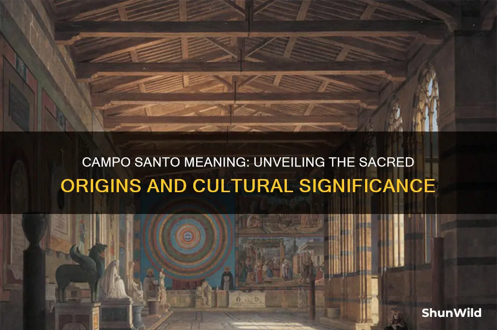 what dies campo santo mean