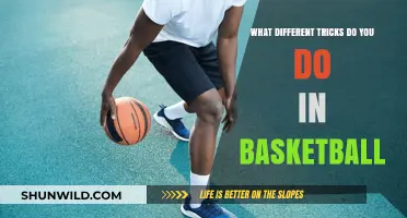 Master These Tricks to Rule the Basketball Court