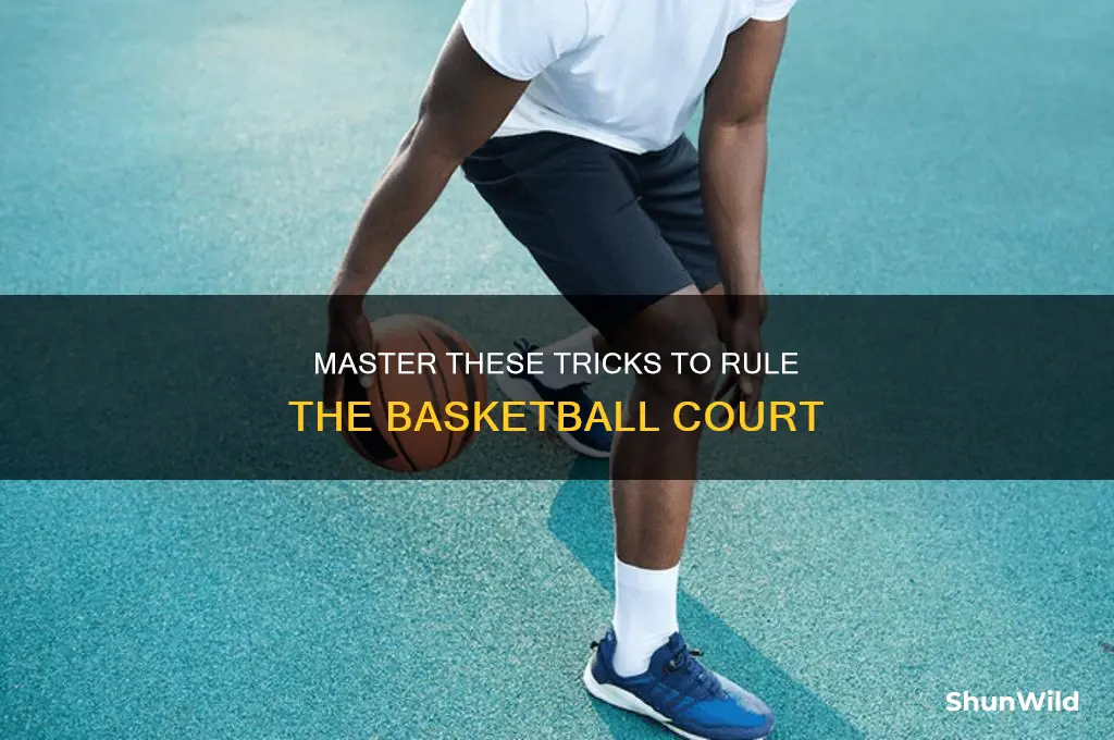 what different tricks do you do in basketball