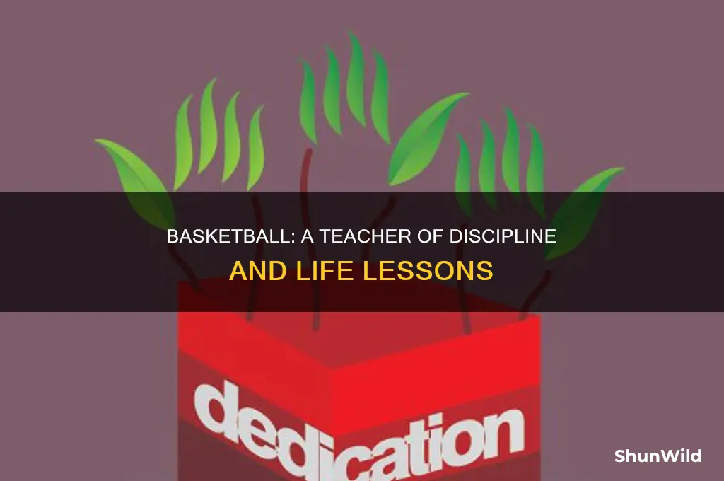 what disciplines does basketball teach