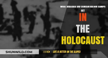 Holocaust Concentration Camps: Diseases That Ravaged Prisoners During the Holocaust