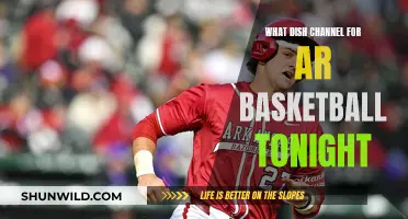 Dish Channel Guide: AR Basketball Tonight