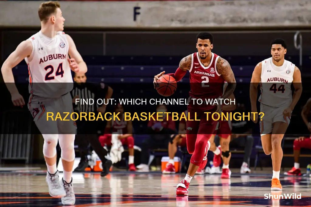 what dish channel for razorback basketball on tonight