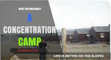 Concentration Camps: Defining Characteristics and Historical Context Explained