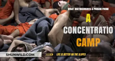 Prisons vs. Concentration Camps: Key Differences and Historical Context