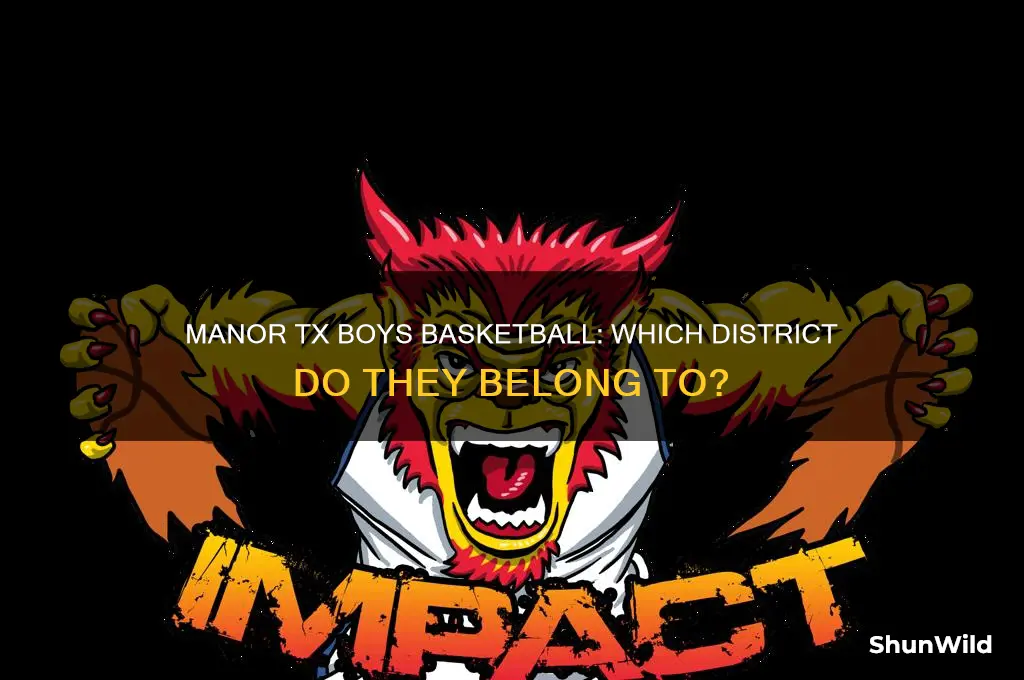 what district is manor tx boys basketball in