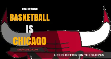 Chicago Basketball: A Division of its Own