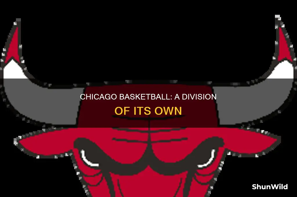 what dividion basketball is chicago