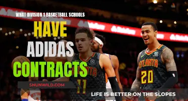 Adidas' Division 1 Basketball School Contracts: Who's on the List?