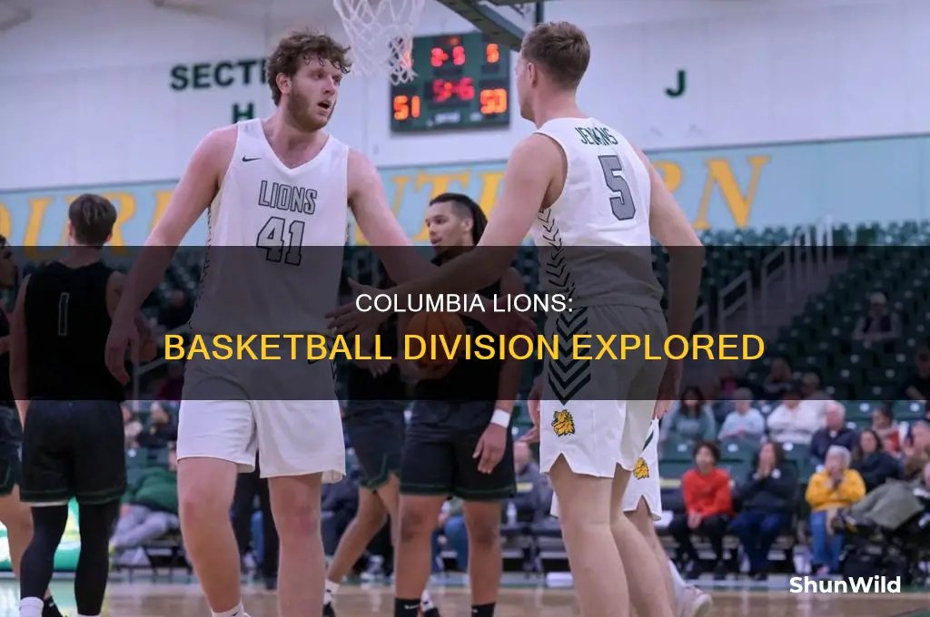 what division basketball is columbia in