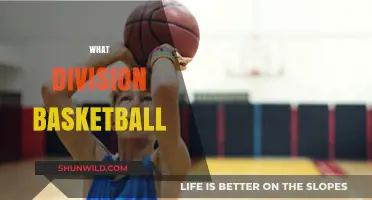 Understanding Basketball Divisions: A Comprehensive Guide