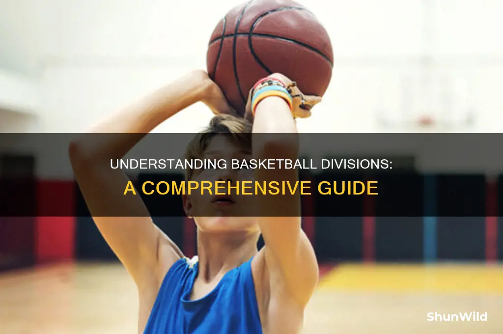 what division basketball