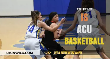 ACU Basketball: A Division Worth Watching