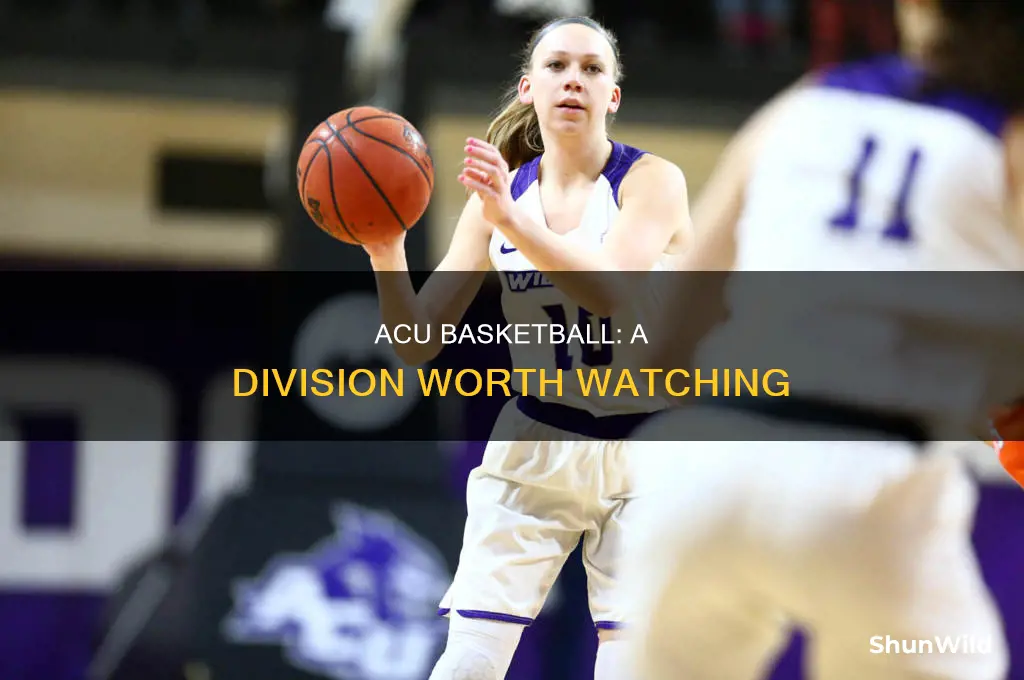 what division is acu basketball