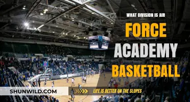 Air Force Academy Basketball: What Division?