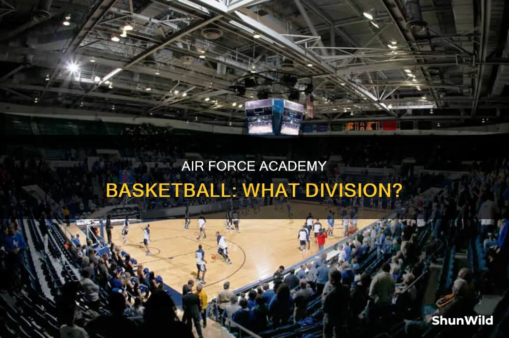 what division is air force academy basketball
