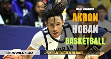 Akron Hoban Basketball: A Division III Powerhouse