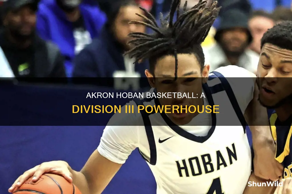 what division is akron hoban basketball