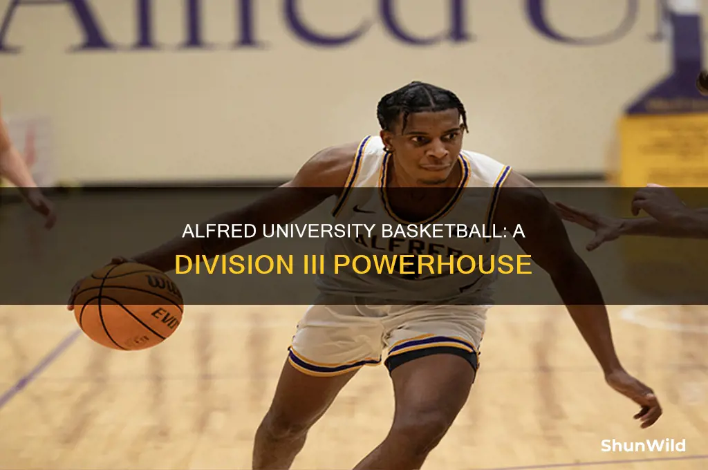 what division is alfred university basketball