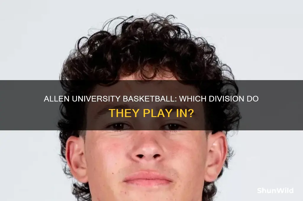 what division is allen university basketball