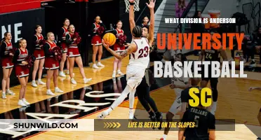 Anderson University Basketball: What Division Are They In?