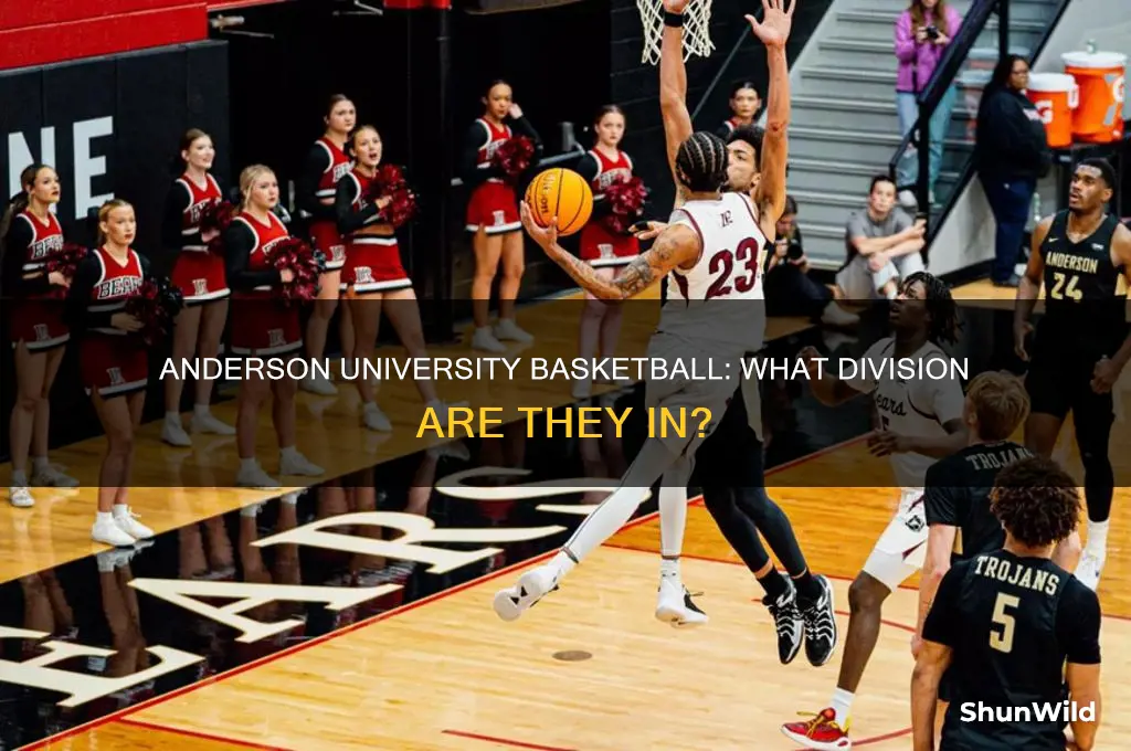 what division is anderson university basketball sc