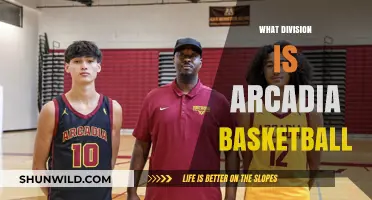 Arcadia Basketball: What Division Are They In?