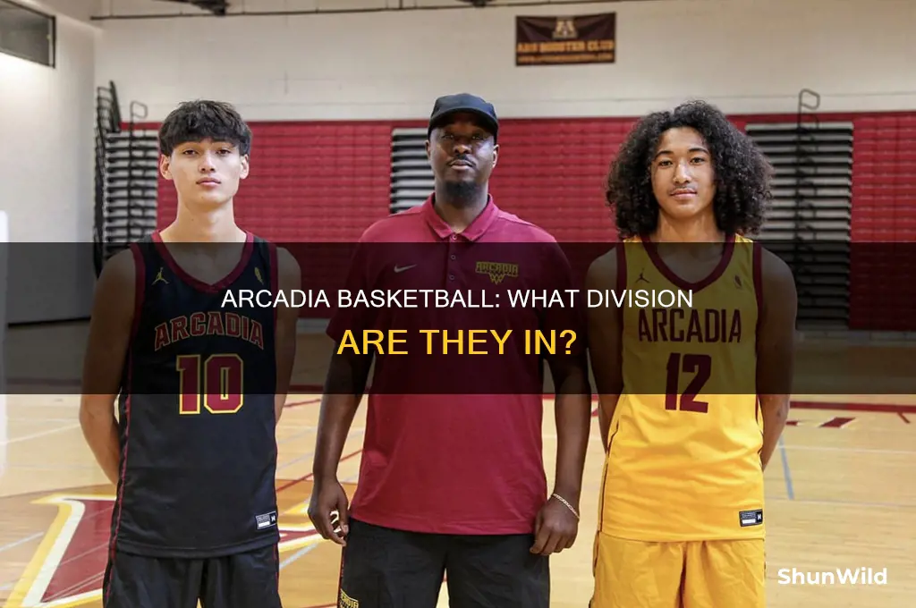 what division is arcadia basketball