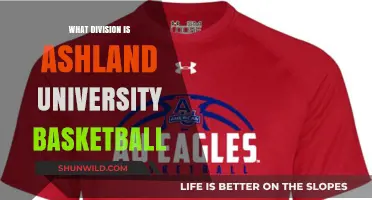 Ashland University Basketball: What Division Do They Play In?